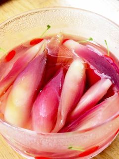 ミョウガの甘酢漬け-レシピのメイン写真