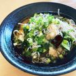 しらすおろしうどんの具沢山番
