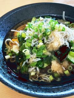 しらすおろしうどんの具沢山番-レシピのメイン写真