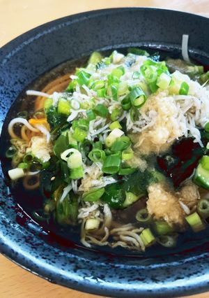 しらすおろしうどんの具沢山番-レシピのメイン写真