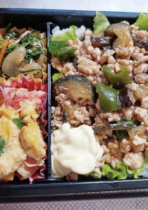 高校生息子弁当（7月8日）-レシピのメイン写真