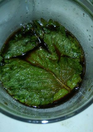 にんにく香る大葉-レシピのメイン写真