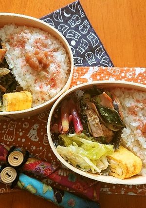 お弁当2021年7月9日-レシピのメイン写真