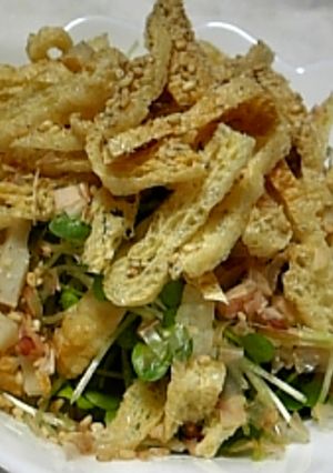 ★ｶｲﾜﾚのｶﾘｶﾘ揚げ･竹輪ｻﾗﾀﾞ★-レシピのメイン写真