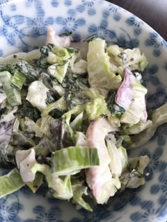 しそと白菜のイカサラダ-レシピのメイン写真