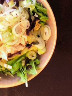ヘルシー!ササミとナスと水菜の和風サラダ-レシピのメイン写真