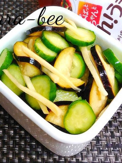 夏の箸休め♪簡単!茄子きゅうりもみもみ-レシピのメイン写真
