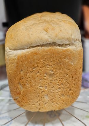 全粒粉入り食パン-レシピのメイン写真