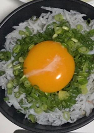 簡単しらす丼-レシピのメイン写真