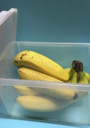 バナナの保存はパンケース-レシピのメイン写真