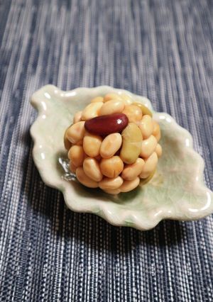 お豆のおかずかのこ-レシピのメイン写真
