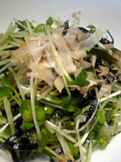 ★カイワレのおかか昆布和え★-レシピのメイン写真