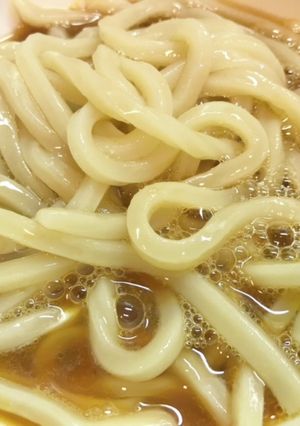 【糖尿病】冷凍うどん　394kcal-レシピのメイン写真