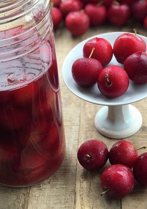 スモモ酢-レシピのメイン写真