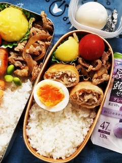 生姜焼き&春巻弁当(7.13)-レシピのメイン写真