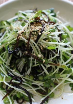 貝割れ大根の塩昆布和え-レシピのメイン写真