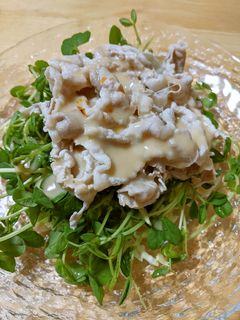 豆苗のごまだれ豚しゃぶサラダ-レシピのメイン写真