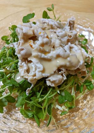 豆苗のごまだれ豚しゃぶサラダ-レシピのメイン写真