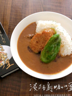 中華風ピーマンの肉詰めあんかけカレー-レシピのメイン写真