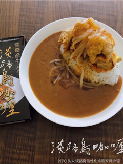 揚げワンタンのもやしあんかけカレー-レシピのメイン写真