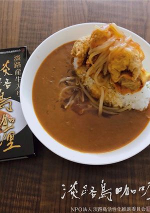 揚げワンタンのもやしあんかけカレー-レシピのメイン写真
