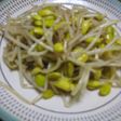大豆もやしのナムル