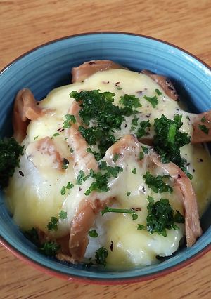 メンマにチーズにごま塩ゆかりさんパセリ丼-レシピのメイン写真