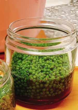 実山椒の醤油漬け-レシピのメイン写真