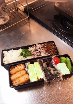 2色の彩りごはん弁当-レシピのメイン写真
