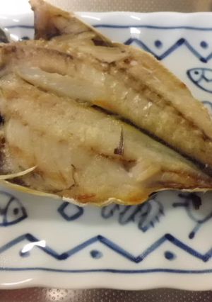 新聞紙と冷蔵庫で簡単なアジの一夜干し-レシピのメイン写真
