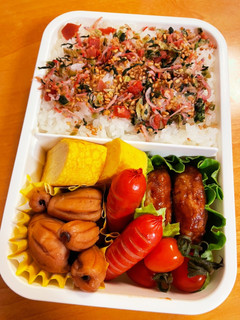 イカの照り焼き弁当(覚え書き)-レシピのメイン写真