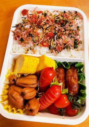 イカの照り焼き弁当（覚え書き）-レシピのメイン写真