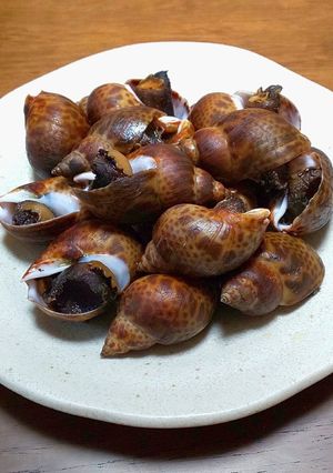 圧力鍋でやわらか！ばい貝の料亭風・煮つけ-レシピのメイン写真
