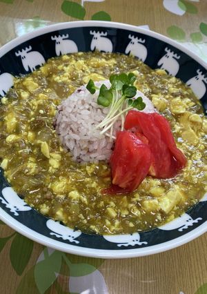 カレー風味の麻婆豆腐★-レシピのメイン写真