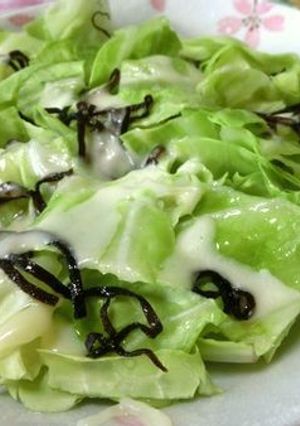 塩昆布チーズごま油で♪　おつまみキャベツ-レシピのメイン写真