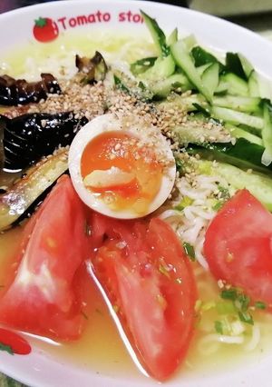 野菜たっぷり冷やし塩ラーメン☆☆☆-レシピのメイン写真