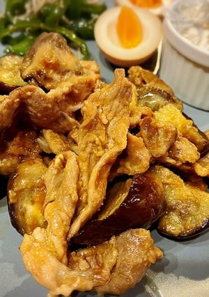 茄子と豚肉のピリ辛味噌炒め♪-レシピのメイン写真