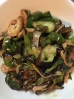 鶏皮と茄子の炒めもの(塩味)-レシピのメイン写真