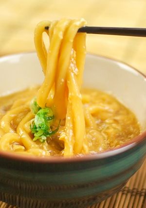 味が染み込みとろとろに!卵とじうどん-レシピのメイン写真