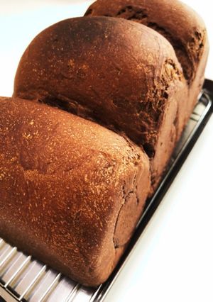 ハイカカオチョコ風 1.5斤ココア食パン-レシピのメイン写真
