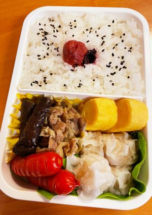 ナスのカレー炒め弁当（覚え書き）-レシピのメイン写真