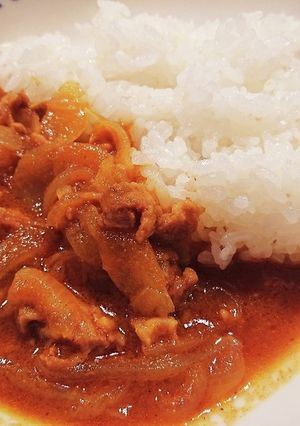 電子レンジでお一人様カレー♪-レシピのメイン写真