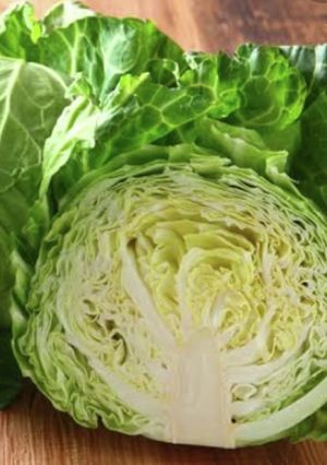 キャベツの保存方法-レシピのメイン写真