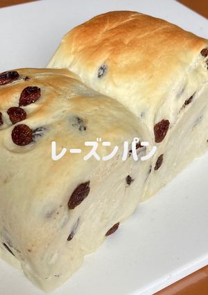 レーズンパン-レシピのメイン写真
