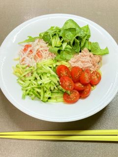 具材を切るだけ~流水麺で冷やし中華-レシピのメイン写真