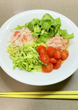 具材を切るだけ～流水麺で冷やし中華-レシピのメイン写真