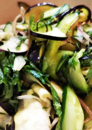 さっぱり！ナスと香味野菜のサラダ-レシピのメイン写真