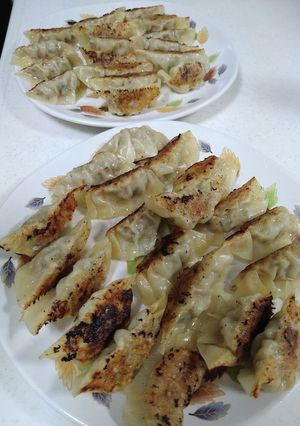 ずぼら主婦が作った餃子-レシピのメイン写真