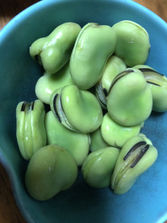 そら豆の下拵え(レンジ蒸し)-レシピのメイン写真