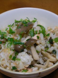 塩鮭ときのこの混ぜご飯-レシピのメイン写真